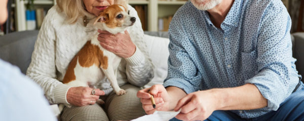 Mutuelle pour chien