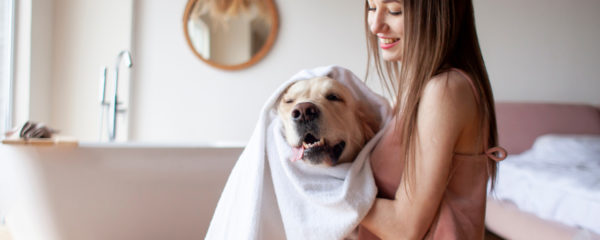 hygiène pour chien